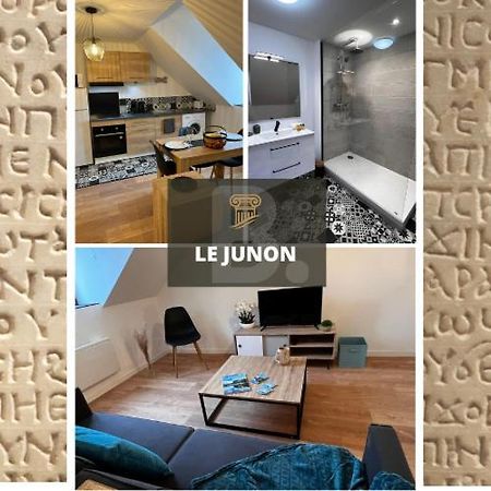 Junon - Appart Tout Equipe, Renove Виши Стая снимка